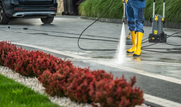 Best Animal Enclosure Cleaning  in Mikes, TX